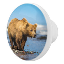 Mama Bären beobachtet ihre beiden Kinder