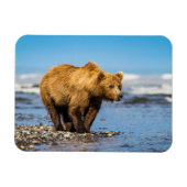 Mama Bären beobachtet ihre beiden Kinder Magnet (Horizontal)