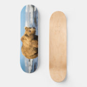 Mama Bären beobachtet ihre beiden Kinder Skateboard (Vorderseite)