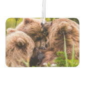 Mama Bären pflegen ihre zwei Jungen, Lake Clark Na Autolufterfrischer (Rückseite)