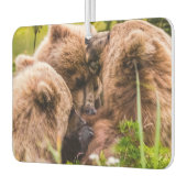 Mama Bären pflegen ihre zwei Jungen, Lake Clark Na Autolufterfrischer (Links)