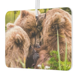 Mama Bären pflegen ihre zwei Jungen, Lake Clark Na Autolufterfrischer