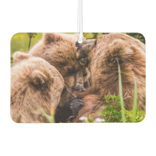 Mama Bären pflegen ihre zwei Jungen, Lake Clark Na Autolufterfrischer (Vorderseite)
