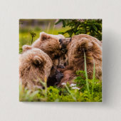 Mama Bären pflegen ihre zwei Jungen, Lake Clark Na Button (Vorderseite)