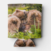 Mama Bären pflegen ihre zwei Jungen, Lake Clark Na Dosenkühler (Vorderseite)