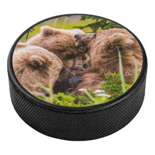 Mama Bären pflegen ihre zwei Jungen, Lake Clark Na Eishockey Puck