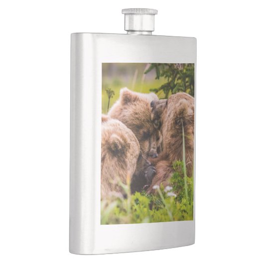 Mama Bären pflegen ihre zwei Jungen, Lake Clark Na Flachmann (Rechts)