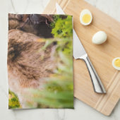 Mama Bären pflegen ihre zwei Jungen, Lake Clark Na Geschirrtuch (Viertel Falte)