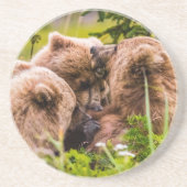 Mama Bären pflegen ihre zwei Jungen, Lake Clark Na Getränkeuntersetzer (Vorne)