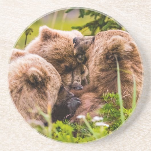 Mama Bären pflegen ihre zwei Jungen, Lake Clark Na Getränkeuntersetzer (Vorne)