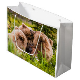 Mama Bären pflegen ihre zwei Jungen, Lake Clark Na Große Geschenktüte