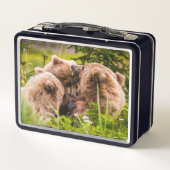 Mama Bären pflegen ihre zwei Jungen, Lake Clark Na Metall Brotdose (Rückseite)