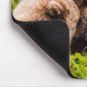 Mama Bären pflegen ihre zwei Jungen, Lake Clark Na Mousepad (Ecke)