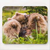 Mama Bären pflegen ihre zwei Jungen, Lake Clark Na Mousepad (Vorne)