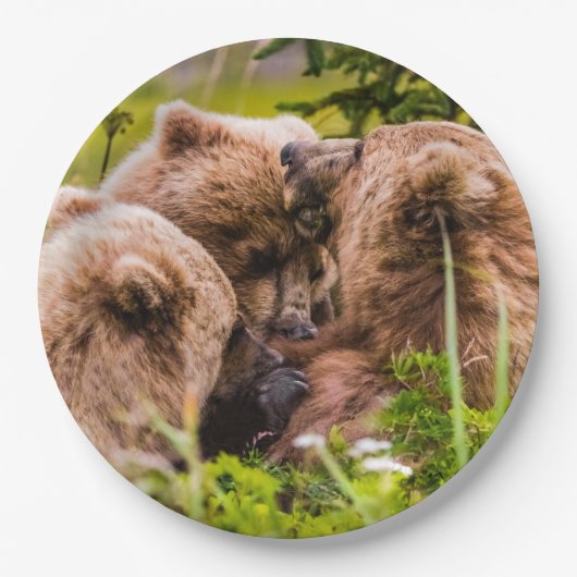 Mama Bären pflegen ihre zwei Jungen, Lake Clark Na Pappteller (Vorderseite)