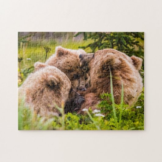 Mama Bären pflegen ihre zwei Jungen, Lake Clark Na Puzzle (Horizontal)