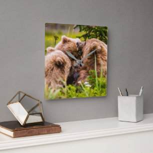 Mama Bären pflegen ihre zwei Jungen, Lake Clark Na Quadratische Wanduhr