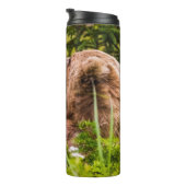 Mama Bären pflegen ihre zwei Jungen, Lake Clark Na Thermosbecher (Nach rechts gedreht)