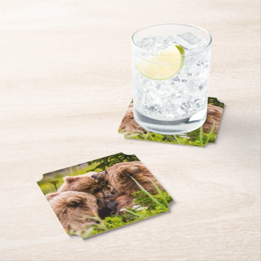 Mama Bären pflegen ihre zwei Jungen, Lake Clark Na Untersetzer (Vor Ort)