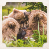 Mama Bären pflegen ihre zwei Jungen, Lake Clark Na Untersetzer (Vorderseite)