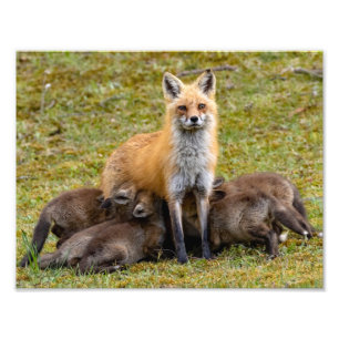 Mama bietet ein Familienessen Fotodruck