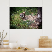 Mama Bird Schutz Eier Fotografie Druck Poster (Küche)