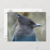 Mama Blue Postcard Postkarte (Vorne/Hinten)