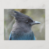 Mama Blue Postcard Postkarte (Vorderseite)