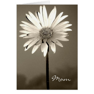 Mama Blume Card