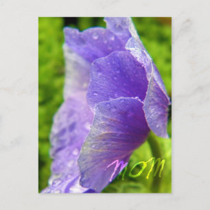 Mama Blume Postkarte
