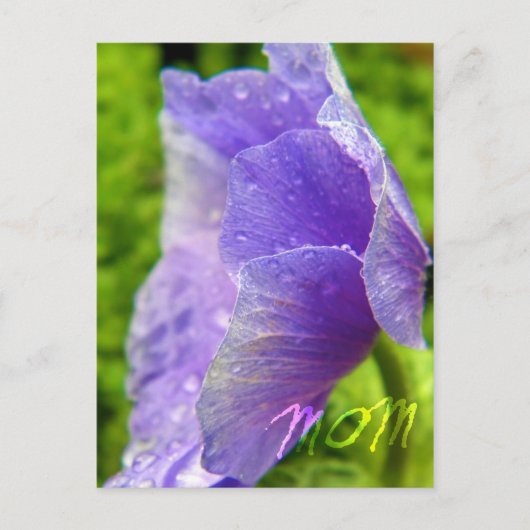Mama Blume Postkarte (Vorderseite)
