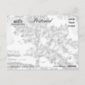 Mama-Buche Postkarte (Rückseite)