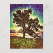 Mama-Buche Postkarte (Vorderseite)