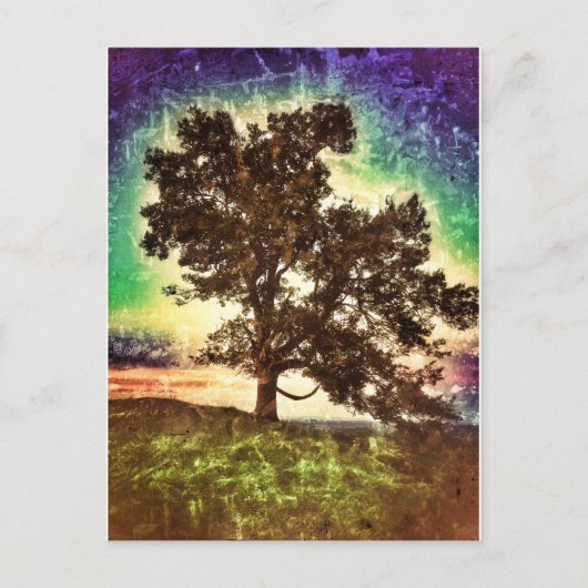 Mama-Buche Postkarte (Vorderseite)