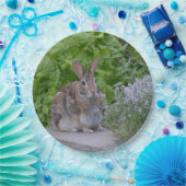 Mama Bunny Pappteller (Party)