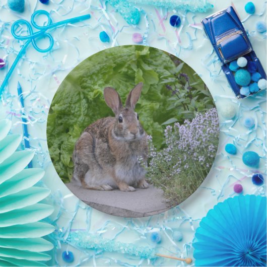 Mama Bunny Pappteller (Party)