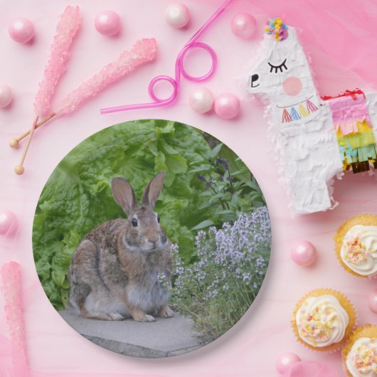 Mama Bunny Pappteller (Party)