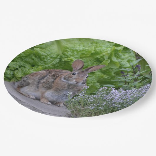 Mama Bunny Pappteller (Schrägansicht)