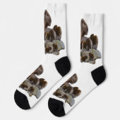 Mama Capybara mit Säuglingen, Socken (Linkes Detail)
