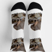 Mama Capybara mit Säuglingen, Socken (Oben)