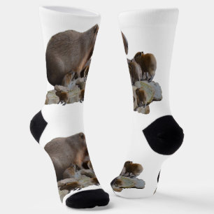 Mama Capybara mit Säuglingen, Socken