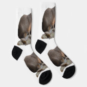 Mama Capybara mit Säuglingen, Socken (Rechts)