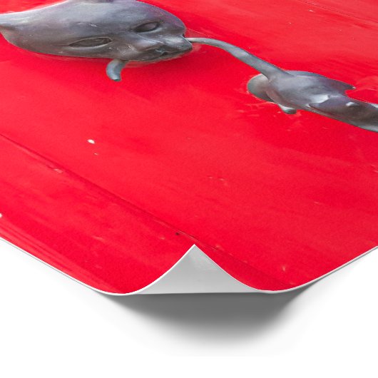 🐈 Mama Cat Knock, Knock! ❤️ Poster (Ecke)