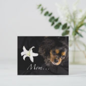 Mama... Cavalier King Charles Spaniel Postkarte (Stehend Vorderseite)