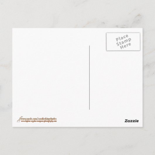 Mama... Cavalier King Charles Spaniel Postkarte (Rückseite)