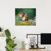 Mama Chipmunk Poster (Heimbüro)