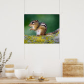 Mama Chipmunk Poster (Küche)