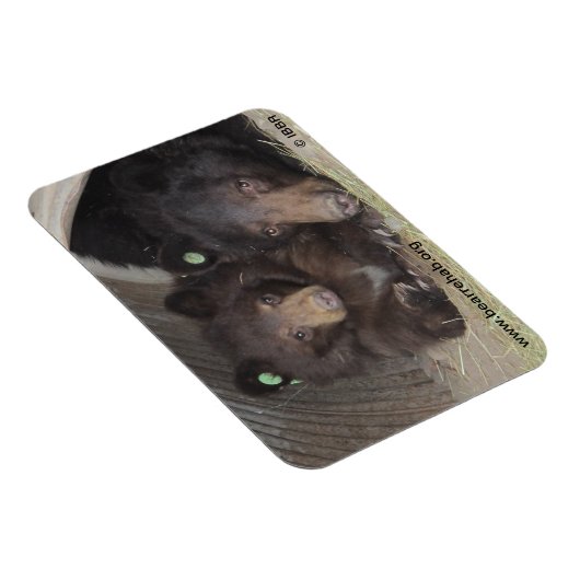 Mama & cub 2013 Premium Flexi Magnet (Rechte Seite)