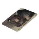 Mama & cub 2013 Premium Flexi Magnet (Linke Seite)
