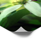 Mama Dankeschön Liebe Dogwood Floral Personalisier Poster (Ecke)